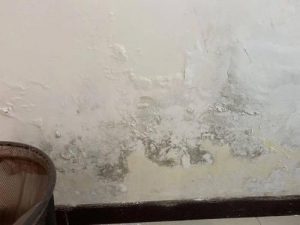 新装修的房子墙面起碱怎么办?