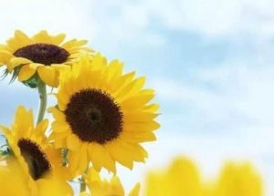 总是害怕被讨厌该怎么办?