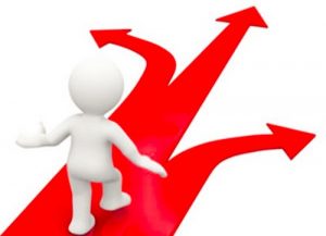 选择大于努力, 机会选对然后从一而终