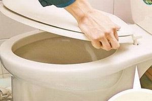 老式马桶盖掉了怎么安装上?