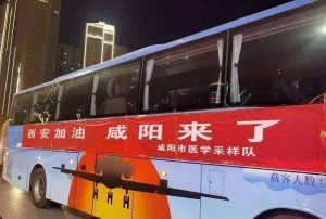 封城之后的新年感想