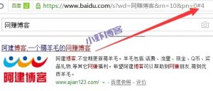 阿建博客站长还玩seo快排吗?