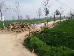 新一轮核酸检测,村里封路了