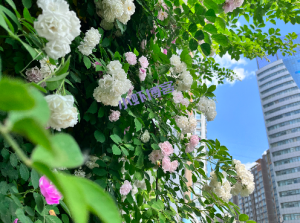 肥水不流外人田