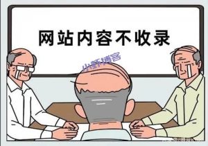 网站内容不收录?搜索引擎喜欢有价值的东西