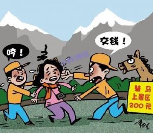 西藏天价三七被坑6400,真是被自己蠢哭