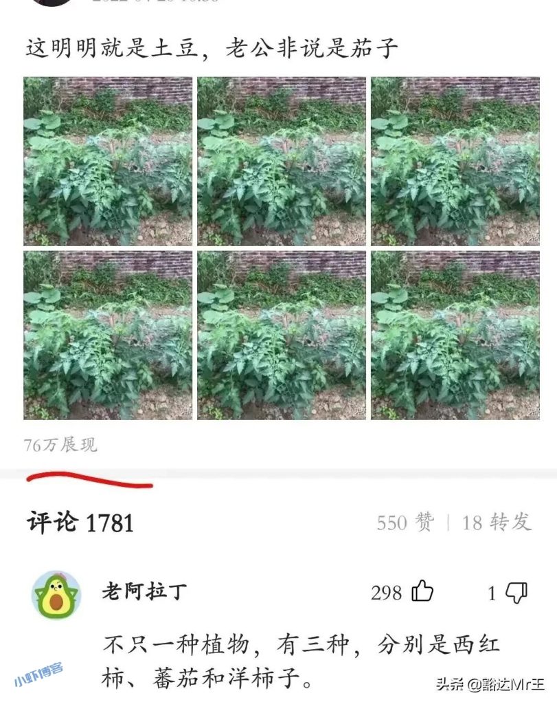 今日头条写微头条怎么赚钱?