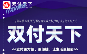 双付天下支付宝收款功能怎么用?带你两分钟掌握流程