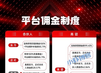 省团优选怎么赚取佣金?我来说说推广制度