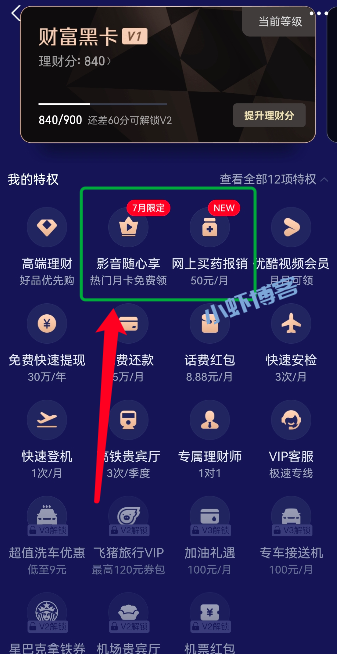 支付宝财富黑卡全新升级,影音会员任选其一免费领