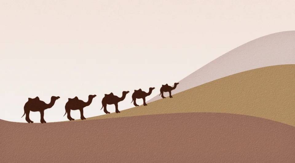 理财收益跑不赢房贷利率