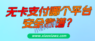 最好的无卡支付app排名,闪电宝plus因可靠备受推崇!