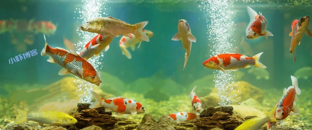 干点啥生意挣钱呢?这3个项目赚点小钱不难