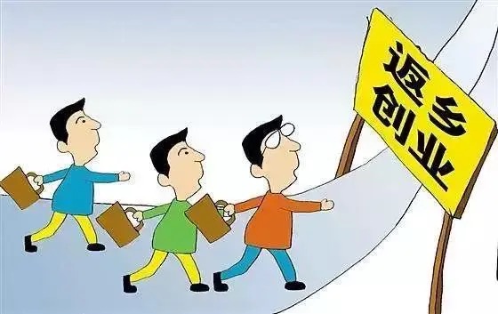 留在老家创业,如何月入过万?