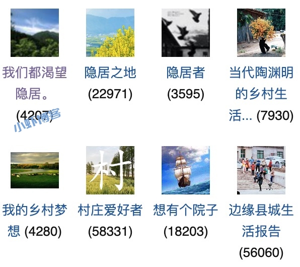 打工人的周末,去农村租院子种菜