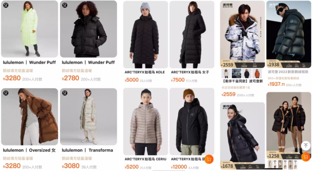 你能接受什么价位的羽绒服?