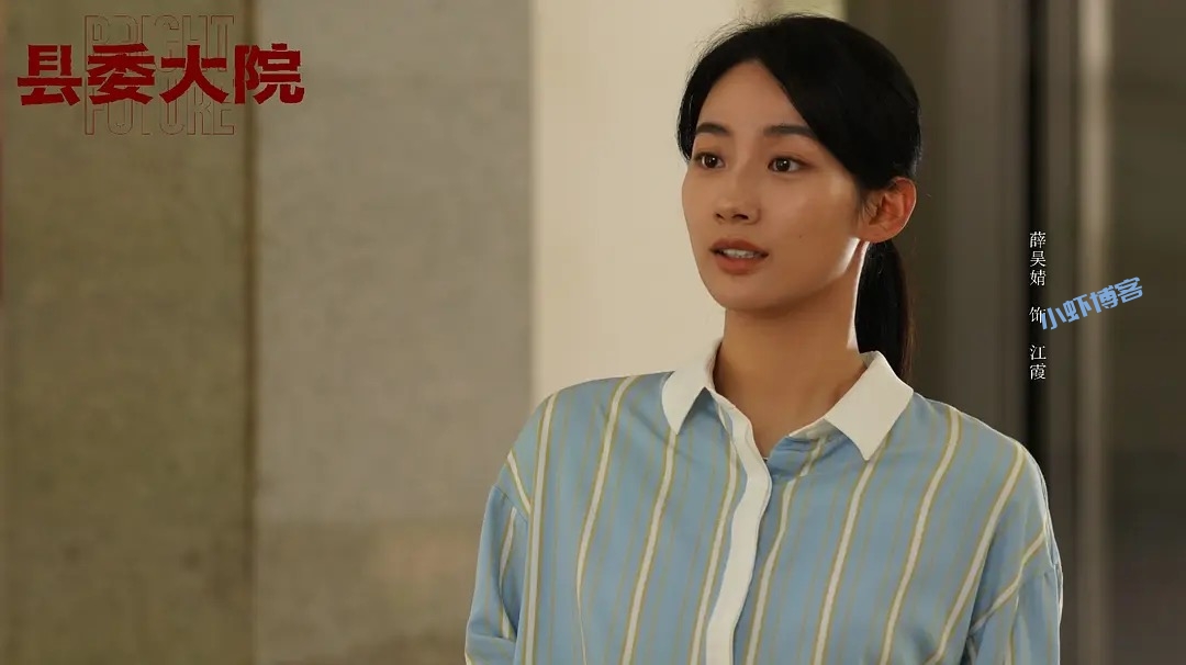 最近电视剧《县委大院》挺好看的