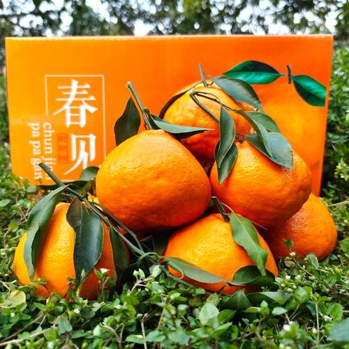 只要东西好,不愁没钱赚