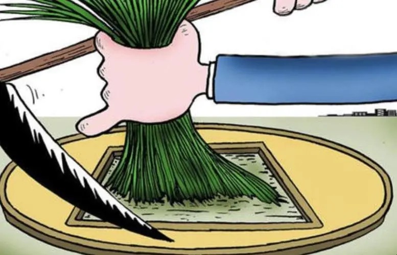 花了1000块买课程被割韭菜了