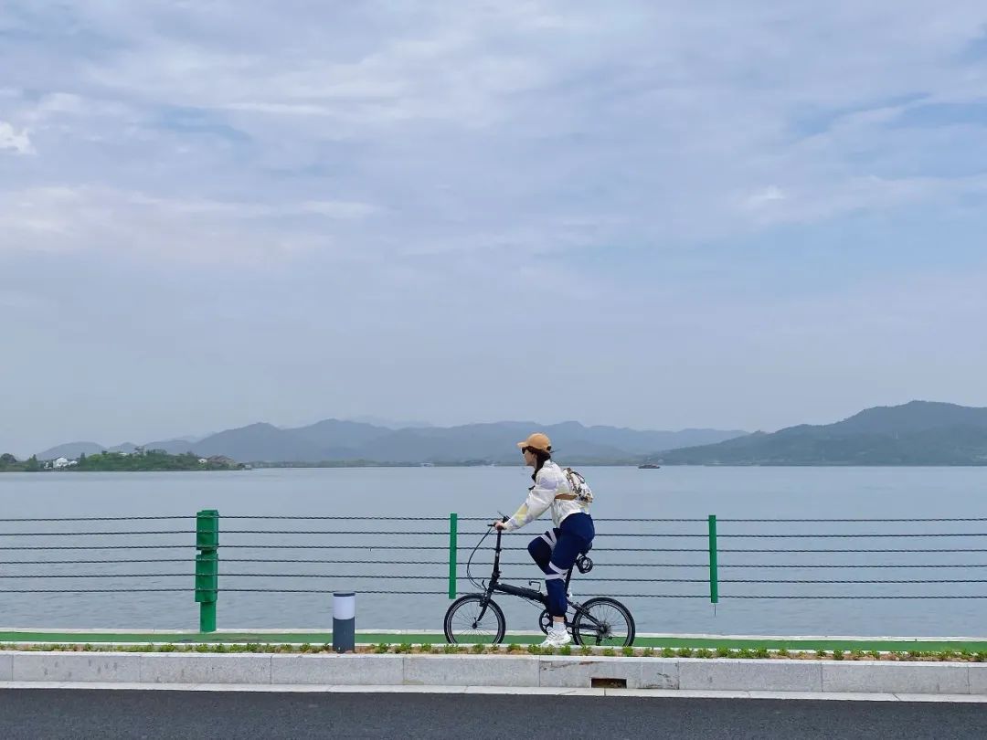 知识付费,根本学不起