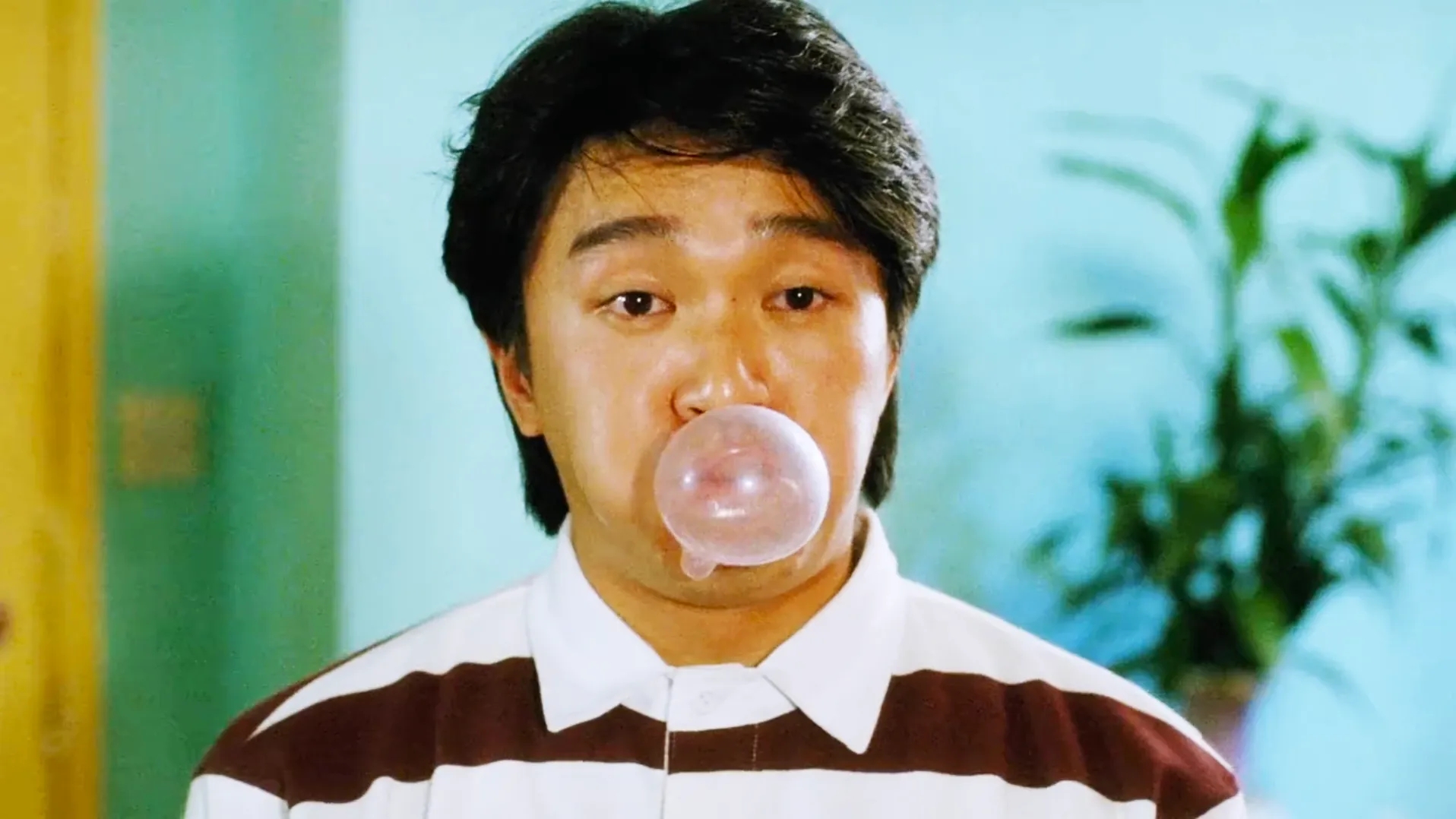 2024年,网站已没有未来